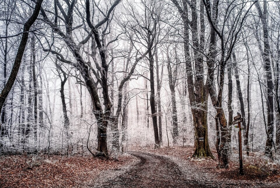 Nature season winter