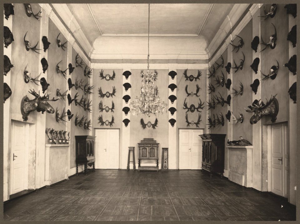 Niaśviž, Radzivił, Załataja. Нясьвіж, Радзівіл, Залатая (1901-39)