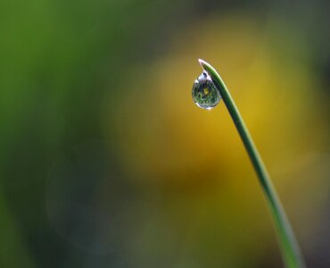 Drops bokeh water