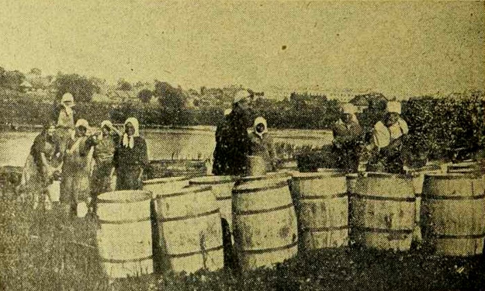 Miensk, Tatarskaja Słabada-Śvisłač. Менск, Татарская Слабада-Сьвіслач (1930)