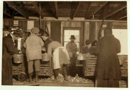 Mike Murphy, ten years old. Annie Healy, seven years old. Ross Healy, ten years old, and been at it two years. From Baltimore. Regular shuckers in Alabama Canning Co. LOC cph.3a36289