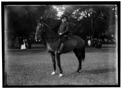 MILES, NELSON APPLETON. LT. GEN., U.S.A. G.A.R. PARADE LCCN2016866584