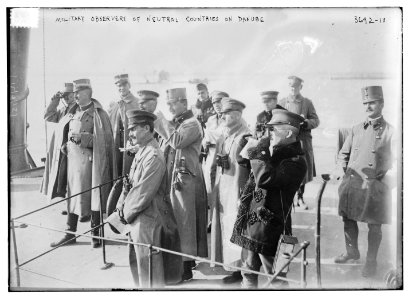 Military Observers of Neutral Countries on Danube LCCN2014700491
