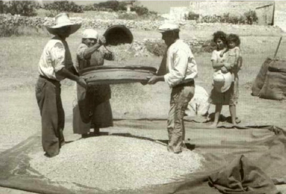 Mikiel Farrugia, Gozitan family sifting its freshly threshed grain