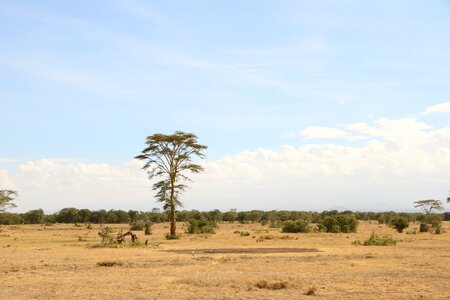 Africa travel landscape photo