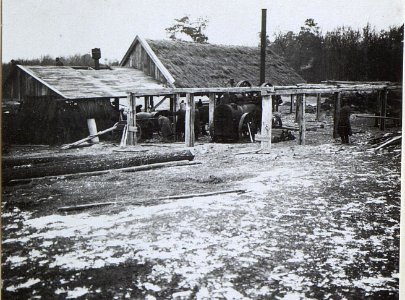 Mil.Säge Nw.Rokinz südl.Roszscze. (BildID 15691209)