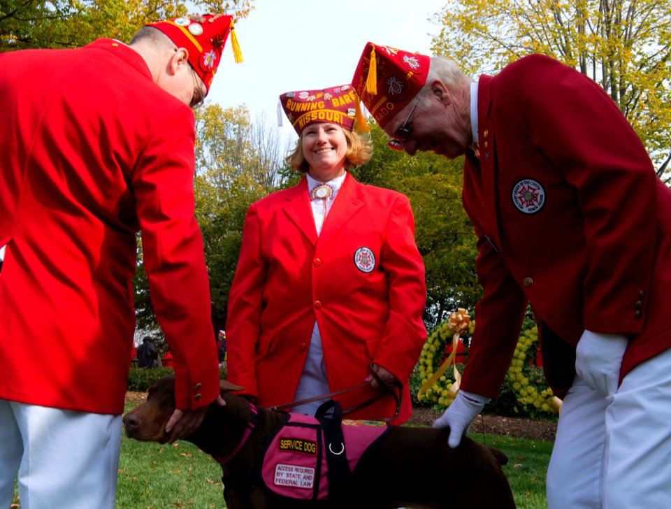 Military Order of the Cootie - dog (15764669861)