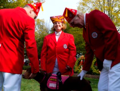Military Order of the Cootie - dog (15764669861)