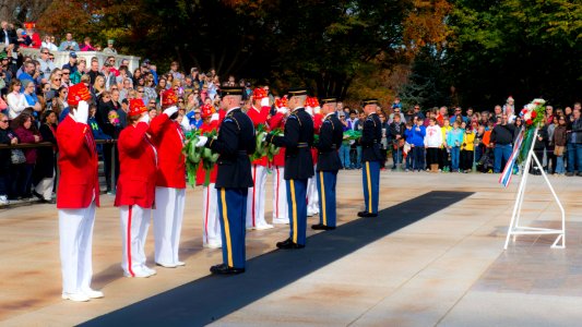 Military Order of the Cootie - salute (15147125223)