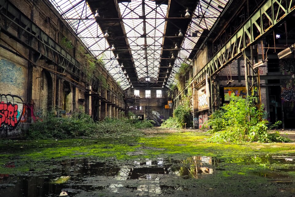 Pforphoto old decay