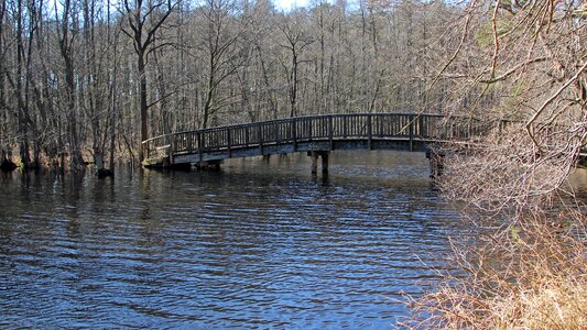 Nature river wooden bridge