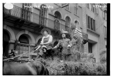 Milk for France LCCN2014706987
