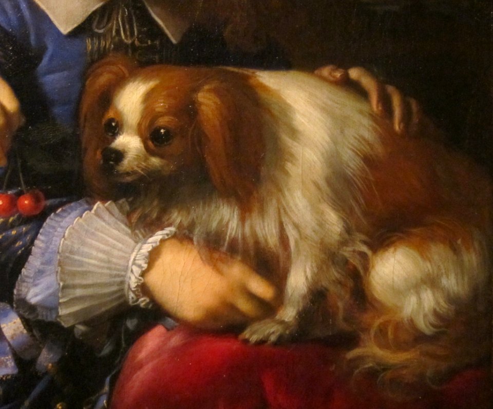 Pierre Mignard - The Children of the Duc de Bouillon 1647 (detail dog)