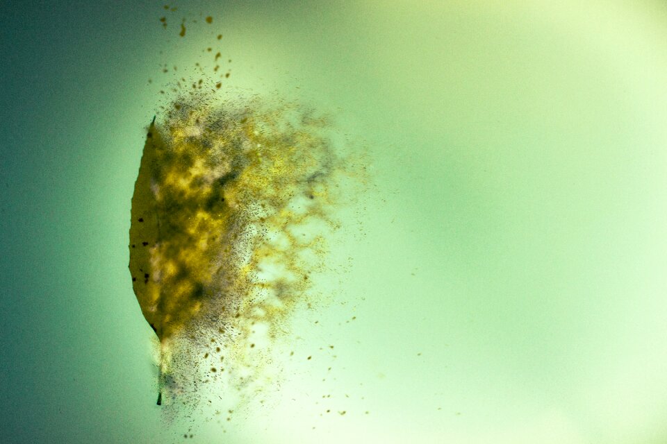 Wind green abstract