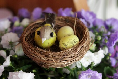 Easter bird's nest craft idea photo