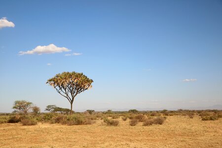 Africa travel landscape