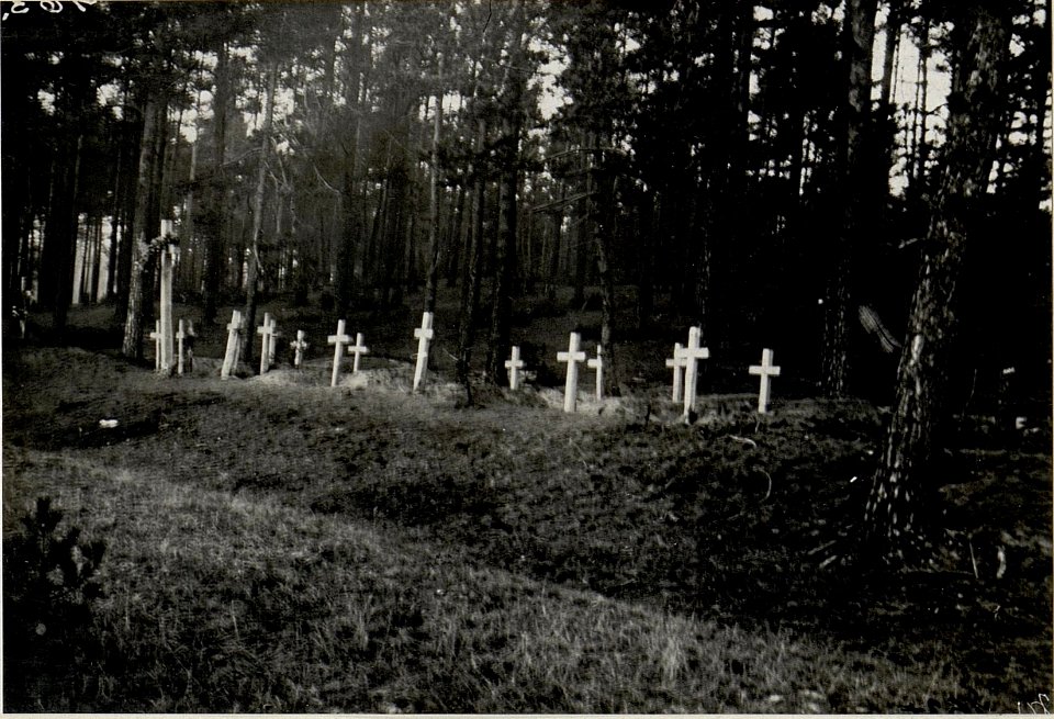 Militärfriedhof der im Spitale Rabsztyn östl. Olkusz den Verwundungen erkegenen Soldaten. (BildID 15538956)