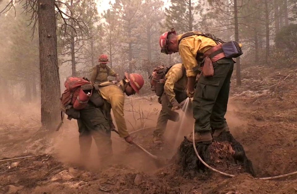 Milli Fire (Oregon) mop up, USFS 20170831