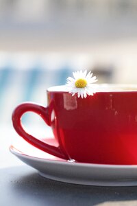 Flower coffee teacup photo