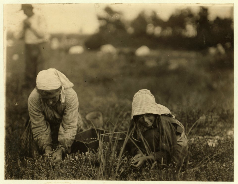Millie Cornaro, Philadelphia, 10 years old. Been picking cranberries for 6 years. White's Bog, Browns Mills, N. J. This is the fourth week of school and the people here expect to remain here LOC nclc.00047