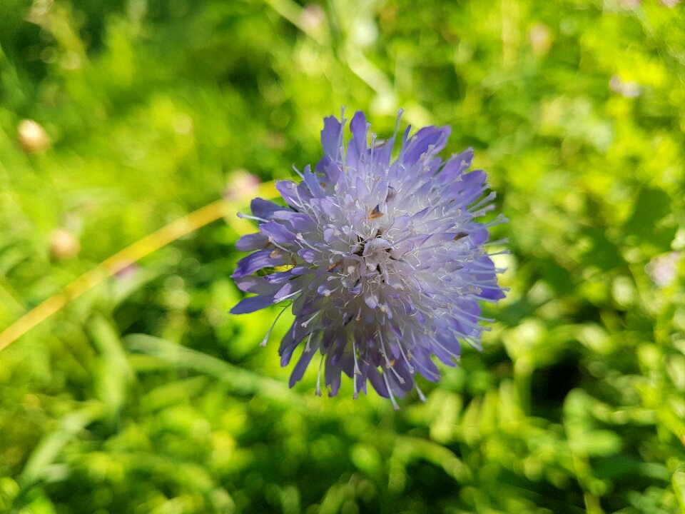 Macro nature moscow