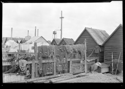 Millville, New Jersey - Scenes. A view of back yards of Whitall Tatum Company houses looking toward Whitall Tatum... - NARA - 518628