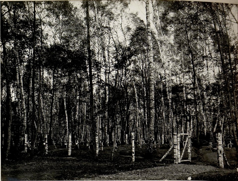 Militärfriedhof. Aufgenommen am 5.v.1916. OLESZOW. (BildID 15537332)
