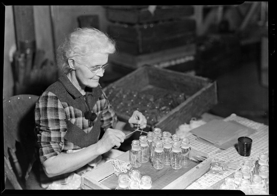 Millville, New Jersey - Glass bottles. A wash and tie girl tying stoppers to bottles. This is one of the few... - NARA - 518636