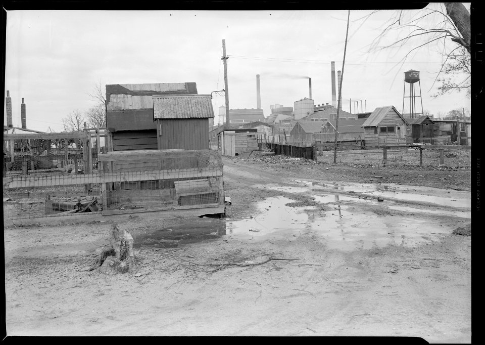 Millville, New Jersey - Scenes. A view of Whitall Tatum Company houses. Yards looking from Myrtle St. to upper... - NARA - 518627