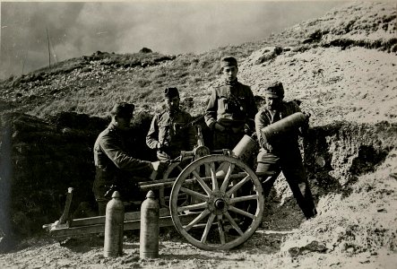 Minenwerfer (BildID 15716760)