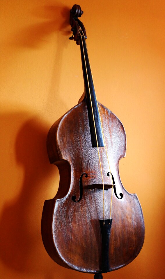 Wooden bowed stringed instrument violin