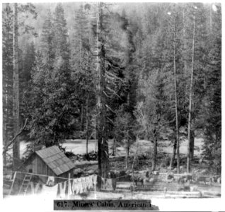Miner's Cabin, American (River) LCCN2002720130