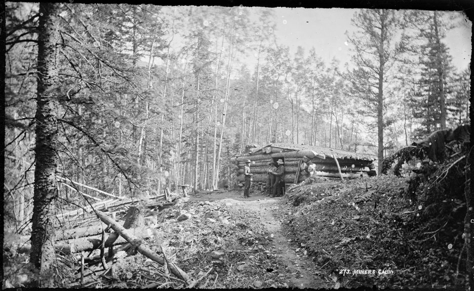 Miner's cabin. La Plata Mountains. Colorado - NARA - 517141