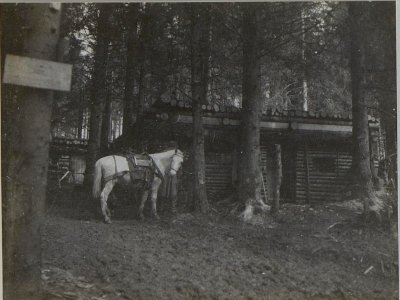 Minensucherstation Abschnitt 2 Gren.Reg.3 (BildID 15453466)