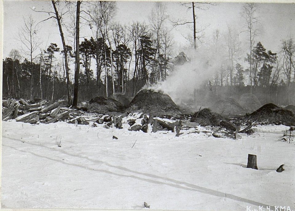Militär-Holzkohlenmeiler Gubin. (BildID 15692420)