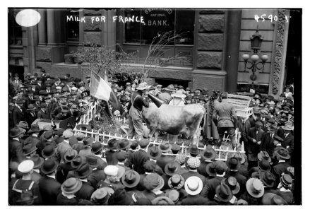 Milk for France LCCN2014706988
