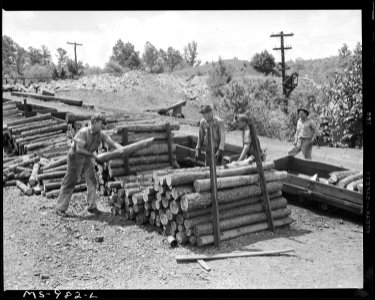 Miners loading mine props into shuttle cars. Brilliant Coal Company, Calimet Mine, Parrish, Walker, County, Alabama. - NARA - 540640