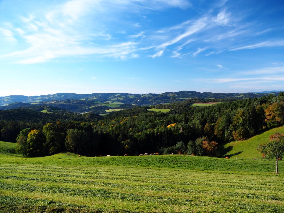 Swing lower austria austria