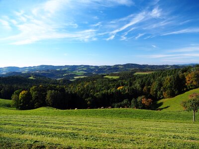 Swing lower austria austria
