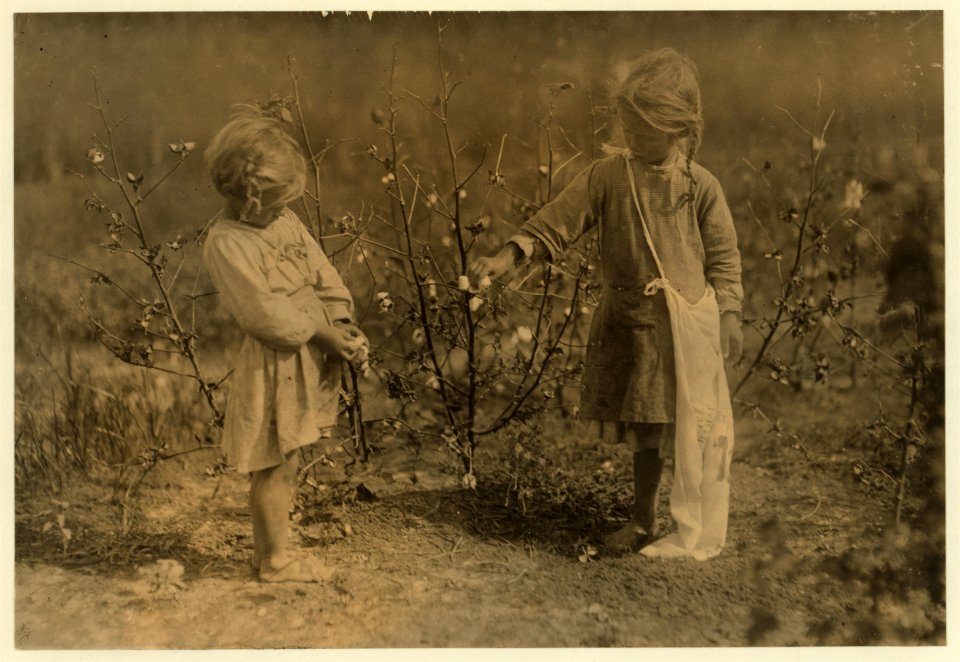 Millie, four years old and Nellie five years old. Cotton pickers on a farm near Houston, Millie picks eight pounds a day and Nellie thirty pounds. This is nearly every day. Home conditions LOC nclc.05536