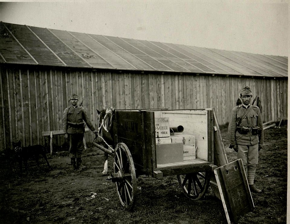 Minenwerfer (BildID 15715750)