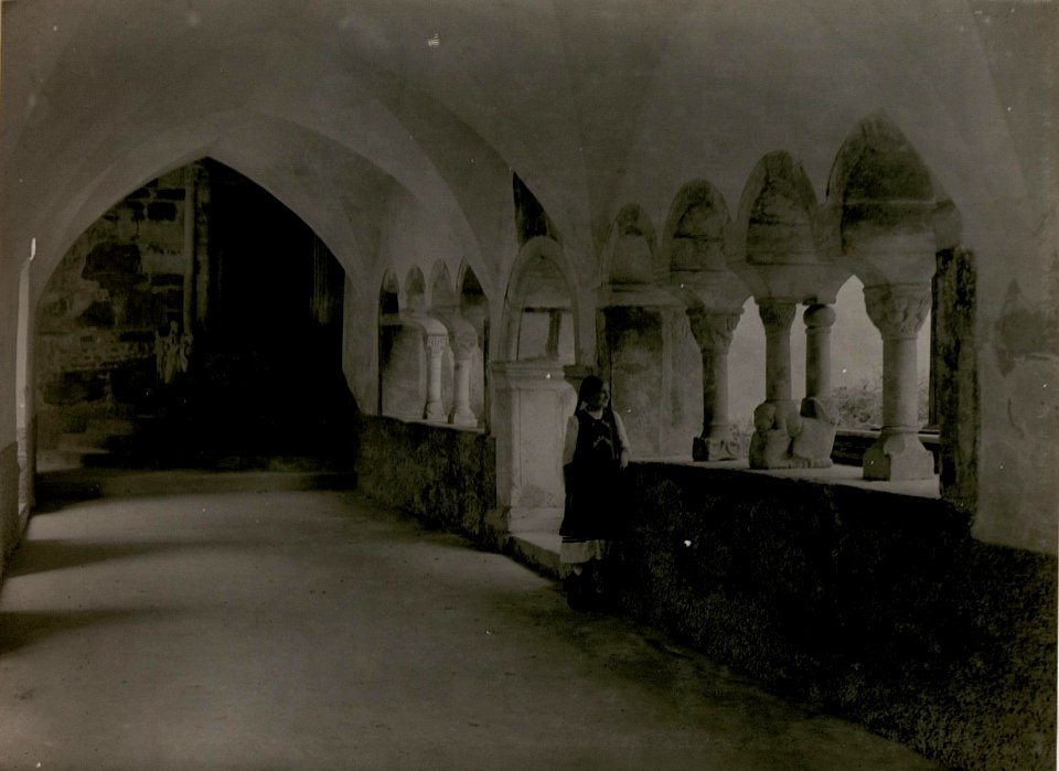 Millstadt, Kreuzgang. (BildID 15509879)
