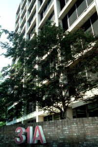 NIH building 31 (5)