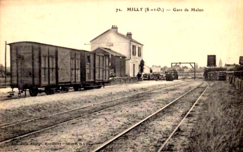 Milly-la-Forêt (77), la gare du TSM