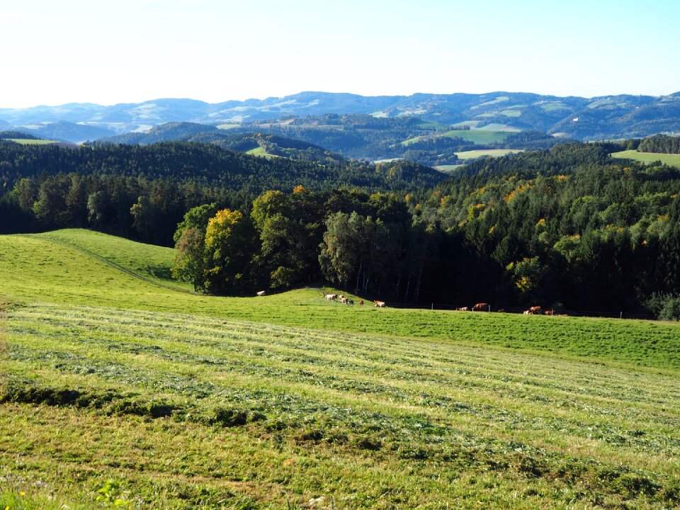 Swing lower austria austria