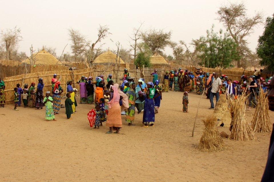 Niger Maradi & Zinder (18171609886)