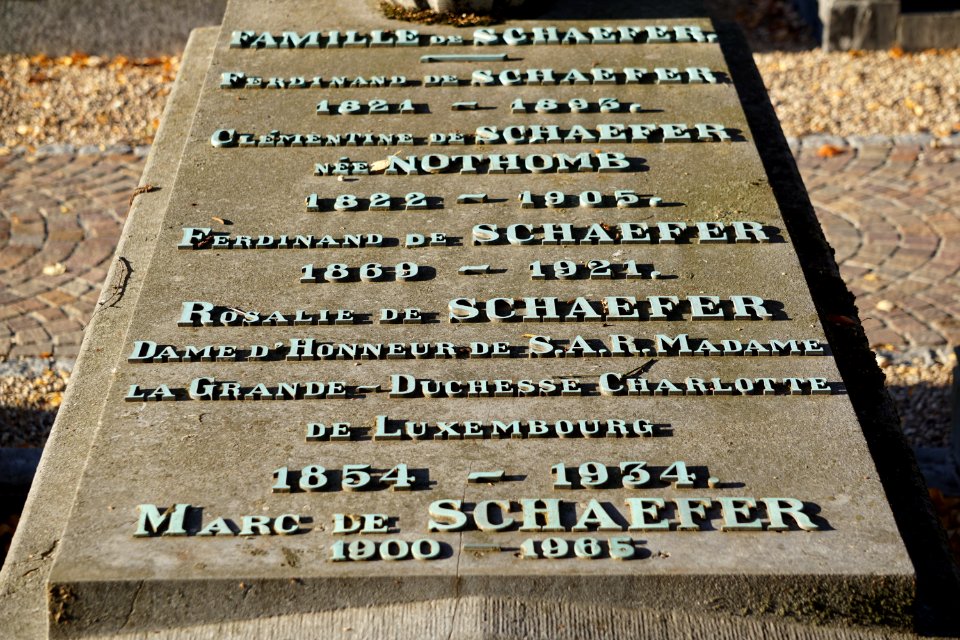 Nikloskierfecht - de Schaefer 02