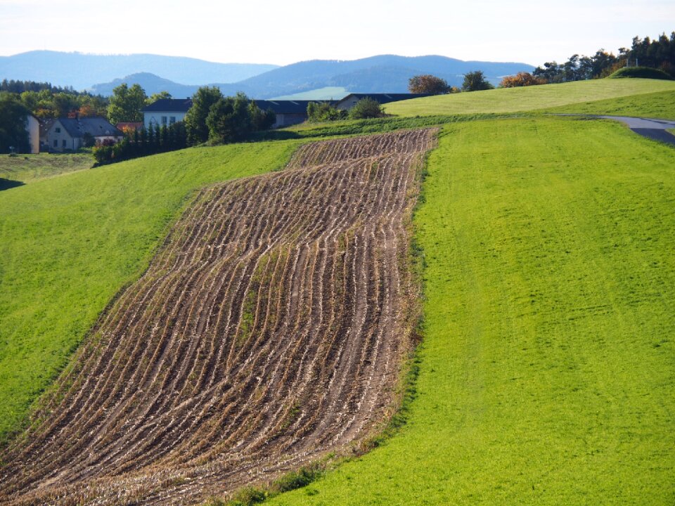 Bucklige welt swing arable