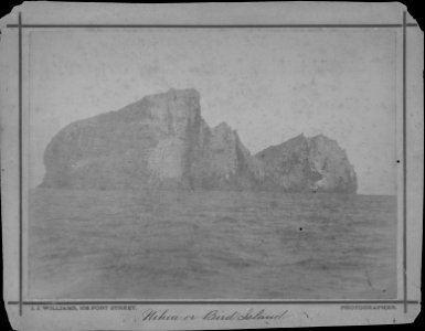 Nihoa or Bird Islands, photograph by J. J. Williams (PP-45-10-006)