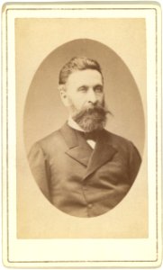 Nikolai Avksent'evich Manassin, head-and-shoulders portrait, facing slightly right LCCN99615542